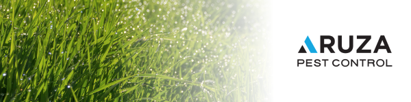 Azura Pest Control