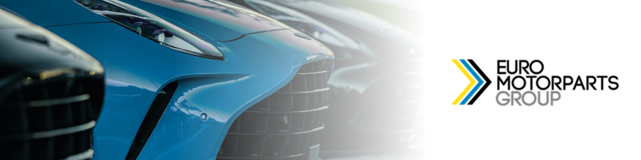 McDermott + Bull Places Vice President, Group Controller at Euro Motorparts Group