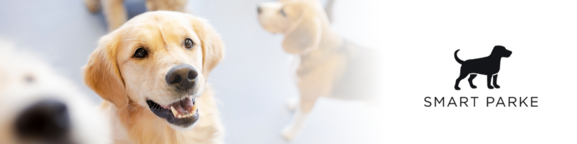 Smart Parke